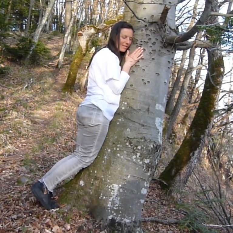 Čuječnost pri drevesu